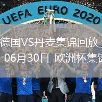 06月30日欧洲杯1/8决赛德国vs丹麦精彩片段