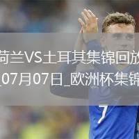 07月07日欧洲杯1/4决赛荷兰vs土耳其精彩片段