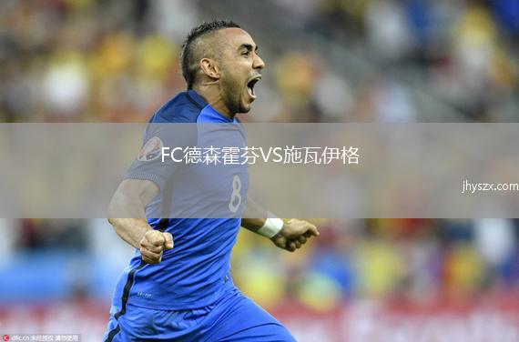 FC德森霍芬VS施瓦伊格