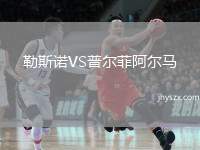 勒斯诺VS普尔菲阿尔马