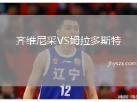 齐维尼采VS姆拉多斯特