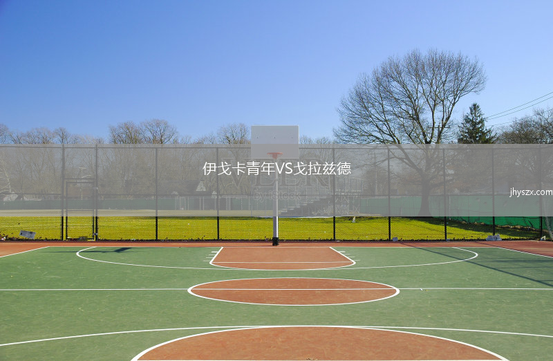 伊戈卡青年VS戈拉兹德