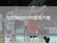 加尔维纳VS特雷维列塞