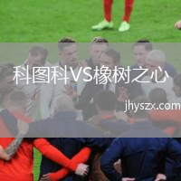 科图科VS橡树之心