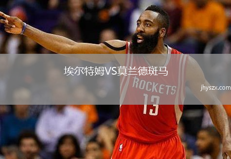 埃尔特姆VS莫兰德斑马