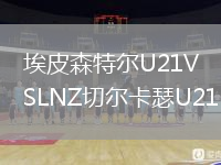 埃皮森特尔U21VSLNZ切尔卡瑟U21