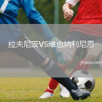 拉夫尼茨VS维也纳利尼恩