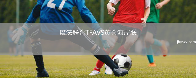 魔法联合TFAVS黄金海岸联