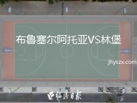 布鲁塞尔阿托亚VS林堡