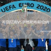 希别尼克VS萨格勒布希伯纳