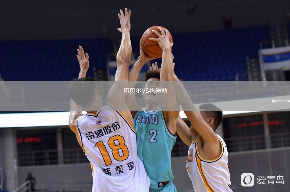 切贝尔VS格德勒