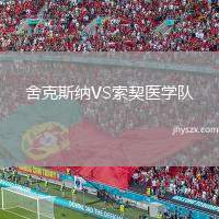 舍克斯纳VS索契医学队