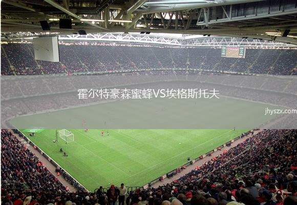 霍尔特豪森蜜蜂VS埃格斯托夫