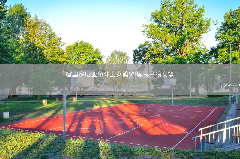 喀里多尼亚角斗士女篮VS奥克兰狼女篮