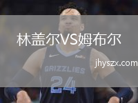 林盖尔VS姆布尔