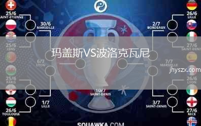 玛盖斯VS波洛克瓦尼