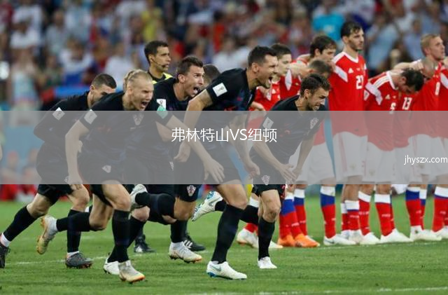 弗林特山VS纽顿