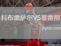 科布雷萨尔VS塞雷那