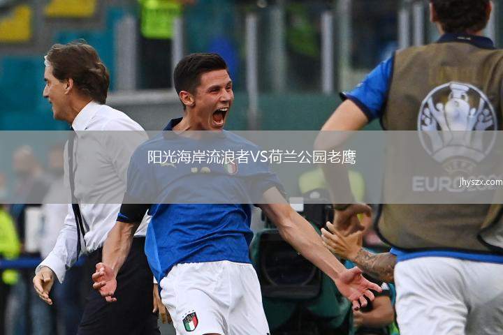 阳光海岸流浪者VS荷兰公园老鹰