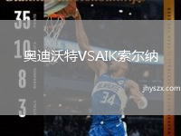 奥迪沃特VSAIK索尔纳