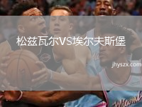 松兹瓦尔VS埃尔夫斯堡