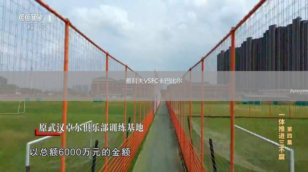 雅科夫VSFC卡巴比尔