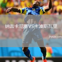 纳吉卡尼塞VS卡波斯瓦里