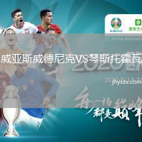 威亚斯威德尼克VS琴斯托霍瓦