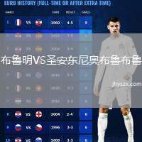 布鲁明VS圣安东尼奥布鲁布鲁