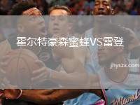 霍尔特豪森蜜蜂VS雷登