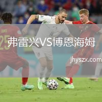 弗雷兴VS博恩海姆