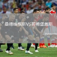 桑德维根斯VS哥德堡盖斯