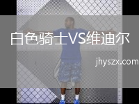 白色骑士VS维迪尔